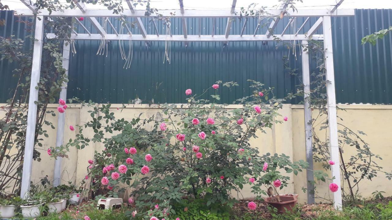 Motel Bong Mai à Lang Duong Extérieur photo